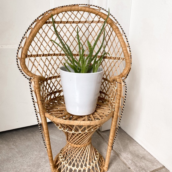 Wicker plant chair - Picture 1 of 4